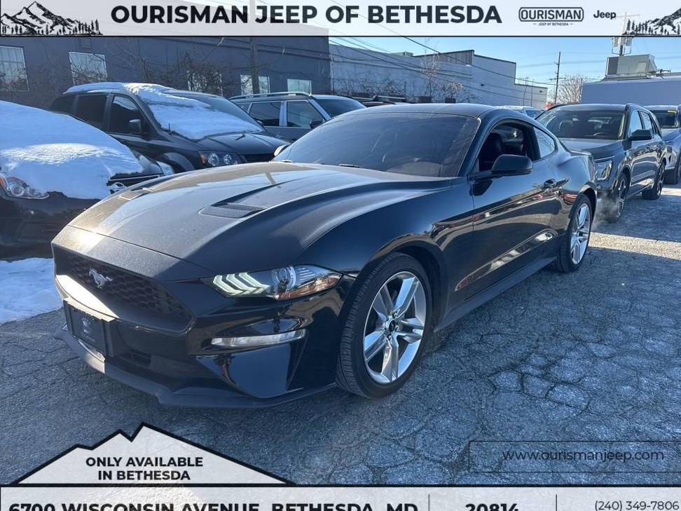 FORD MUSTANG 2020 1FA6P8TH7L5168415 image