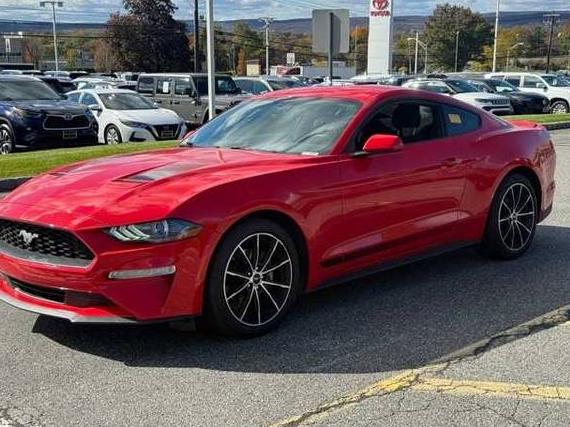 FORD MUSTANG 2020 1FA6P8TH3L5133435 image