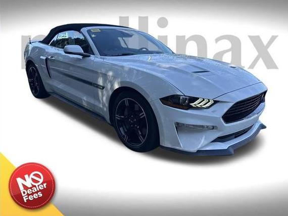 FORD MUSTANG 2020 1FATP8FF5L5157894 image