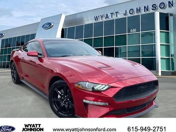 FORD MUSTANG 2020 1FA6P8TH4L5163401 image