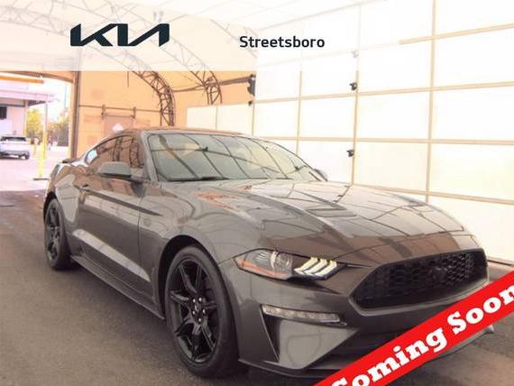 FORD MUSTANG 2020 1FA6P8TH4L5117809 image