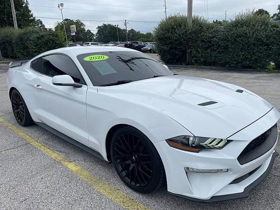 FORD MUSTANG 2020 1FA6P8TH6L5147510 image