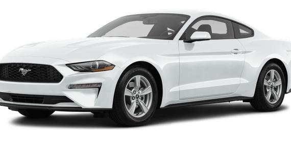 FORD MUSTANG 2020 1FA6P8TH8L5173140 image