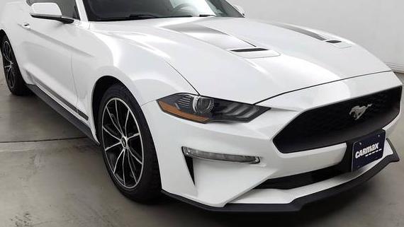 FORD MUSTANG 2020 1FA6P8TH7L5118002 image