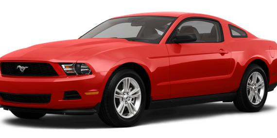 FORD MUSTANG 2011 1ZVBP8AM9B5135274 image
