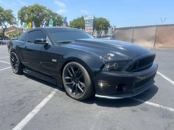 FORD MUSTANG 2011 1ZVBP8CF1B5142170 image