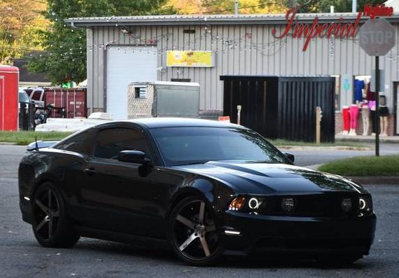 FORD MUSTANG 2011 1ZVBP8CF5B5139496 image