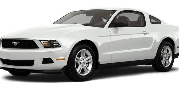 FORD MUSTANG 2011 1ZVBP8AM3B5131186 image
