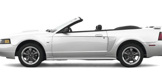 FORD MUSTANG 2003 1FAFP45X03F443789 image