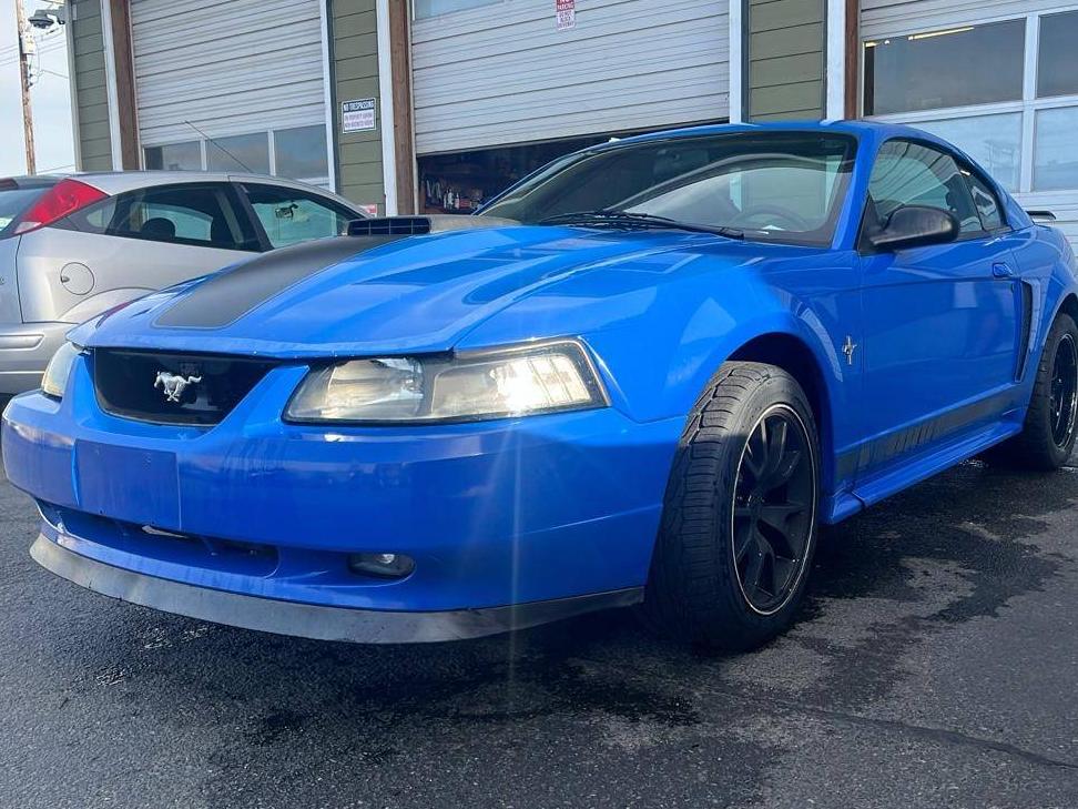 FORD MUSTANG 2003 1FAFP42RX3F417304 image