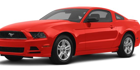 FORD MUSTANG 2013 1ZVBP8AM5D5235651 image