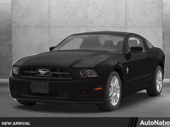 FORD MUSTANG 2013 1ZVBP8CF5D5233557 image FORD MUSTANG 2013 1ZVBP8CF5D5233557 image