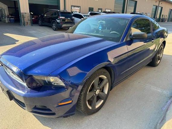 FORD MUSTANG 2013 1ZVBP8AM1D5274804 image