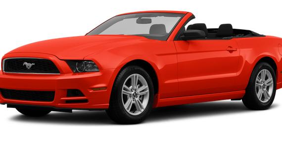 FORD MUSTANG 2013 1ZVBP8EM8D5244435 image FORD MUSTANG 2013 1ZVBP8EM8D5244435 image