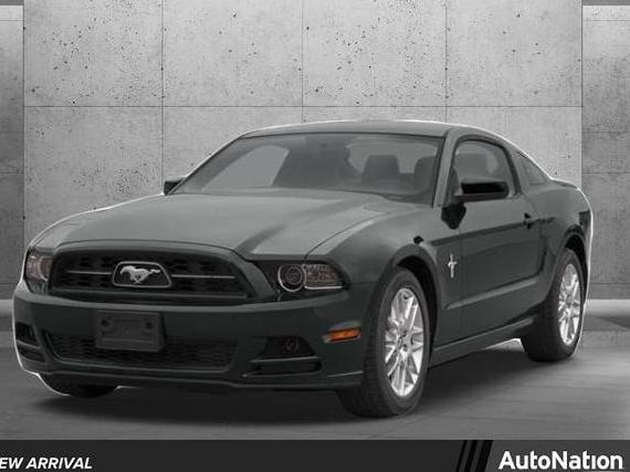 FORD MUSTANG 2013 1ZVBP8CF5D5256126 image