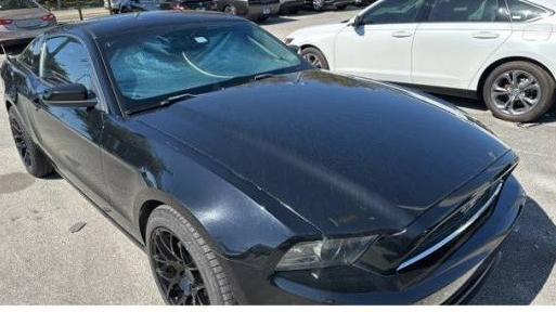 FORD MUSTANG 2013 1ZVBP8AM1D5212903 image