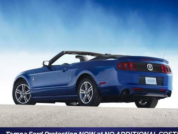 FORD MUSTANG 2013 1ZVBP8EM0D5252254 image