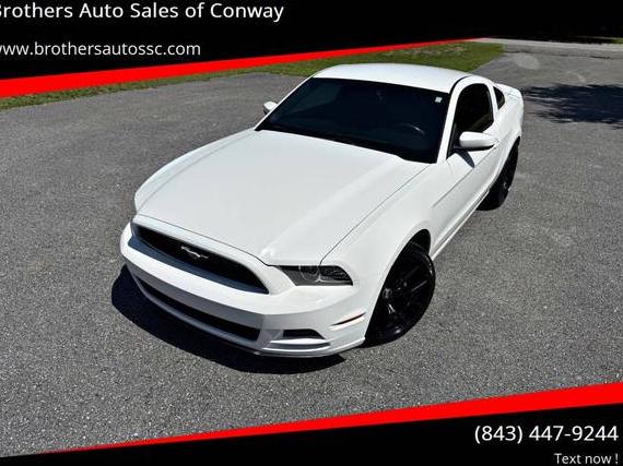 FORD MUSTANG 2013 1ZVBP8AM6D5259196 image