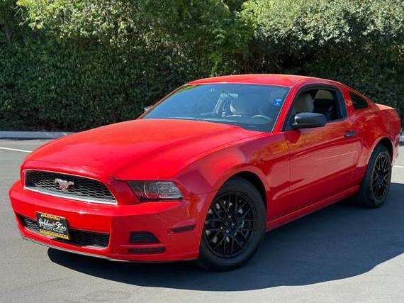 FORD MUSTANG 2013 1ZVBP8AM4D5271959 image