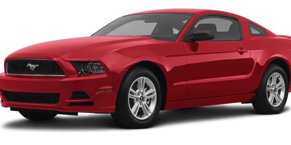 FORD MUSTANG 2013 1ZVBP8AMXD5272145 image
