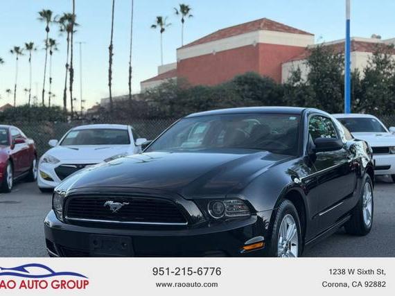 FORD MUSTANG 2013 1ZVBP8AM5D5270416 image FORD MUSTANG 2013 1ZVBP8AM5D5270416 image
