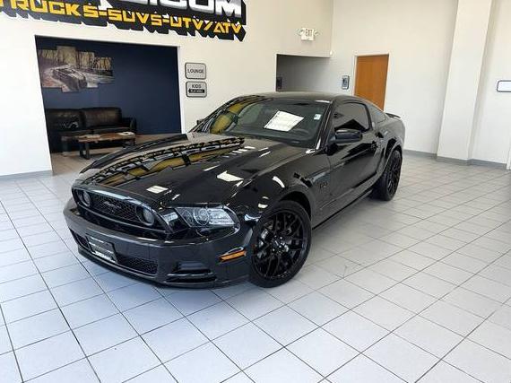 FORD MUSTANG 2013 1ZVBP8CF0D5243011 image