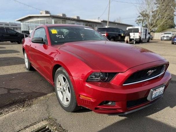 FORD MUSTANG 2013 1ZVBP8AM0D5282781 image