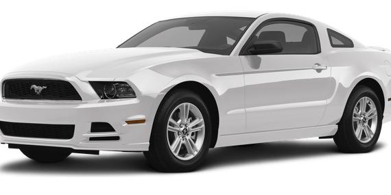 FORD MUSTANG 2013 1ZVBP8CU4D5267004 image