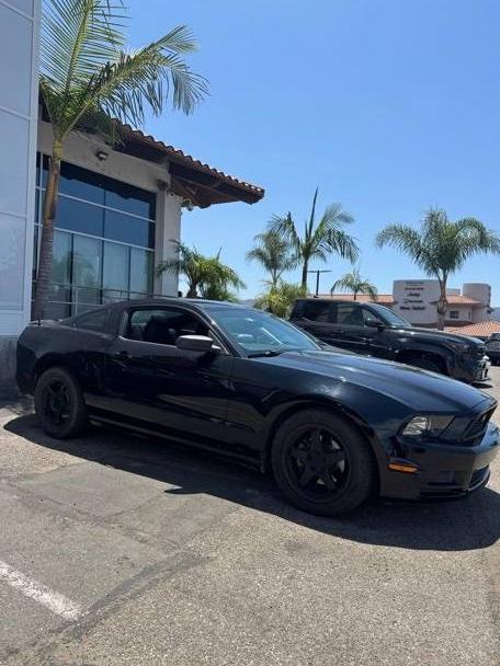 FORD MUSTANG 2013 1ZVBP8AM4D5247998 image