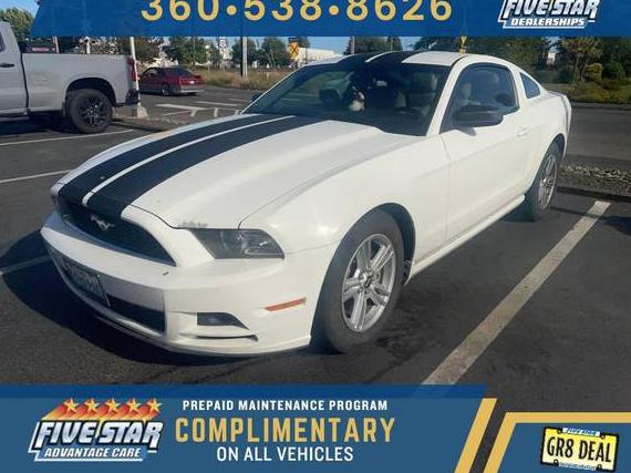 FORD MUSTANG 2013 1ZVBP8AM3D5273511 image
