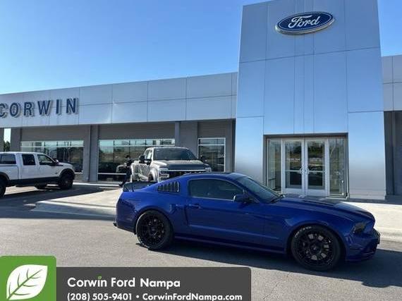 FORD MUSTANG 2013 1ZVBP8CFXD5216382 image
