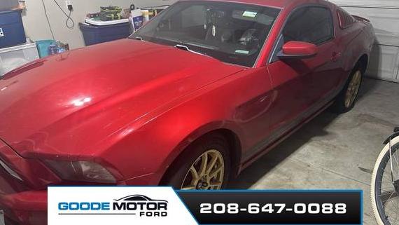 FORD MUSTANG 2013 1ZVBP8AM5D5217294 image