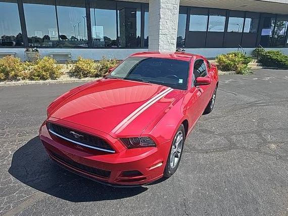 FORD MUSTANG 2013 1ZVBP8AM0D5278598 image