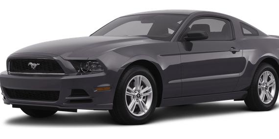 FORD MUSTANG 2013 1ZVBP8AM3D5244400 image