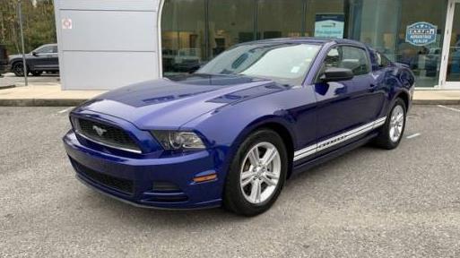 FORD MUSTANG 2013 1ZVBP8AM5D5253986 image