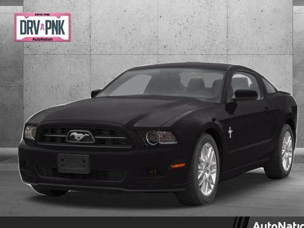 FORD MUSTANG 2013 1ZVBP8CF8D5250787 image