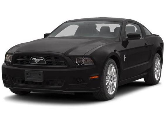 FORD MUSTANG 2013 1ZVBP8CF1D5221065 image FORD MUSTANG 2013 1ZVBP8CF1D5221065 image