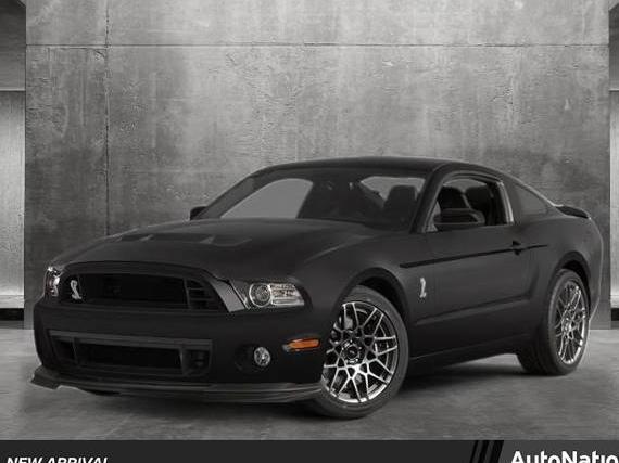 FORD MUSTANG 2013 1ZVBP8JZ8D5231511 image