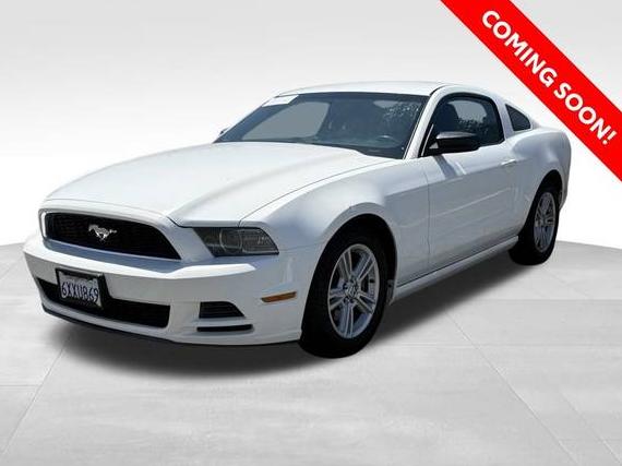 FORD MUSTANG 2013 1ZVBP8AM3D5252867 image