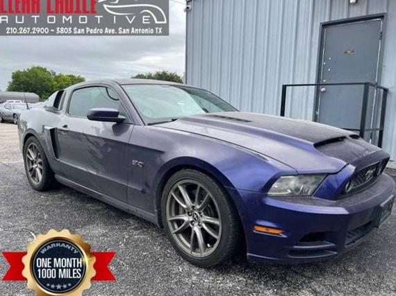 FORD MUSTANG 2013 1ZVBP8CF0D5254087 image