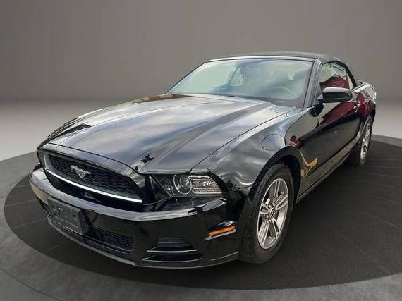 FORD MUSTANG 2013 1ZVBP8EM9D5237123 image