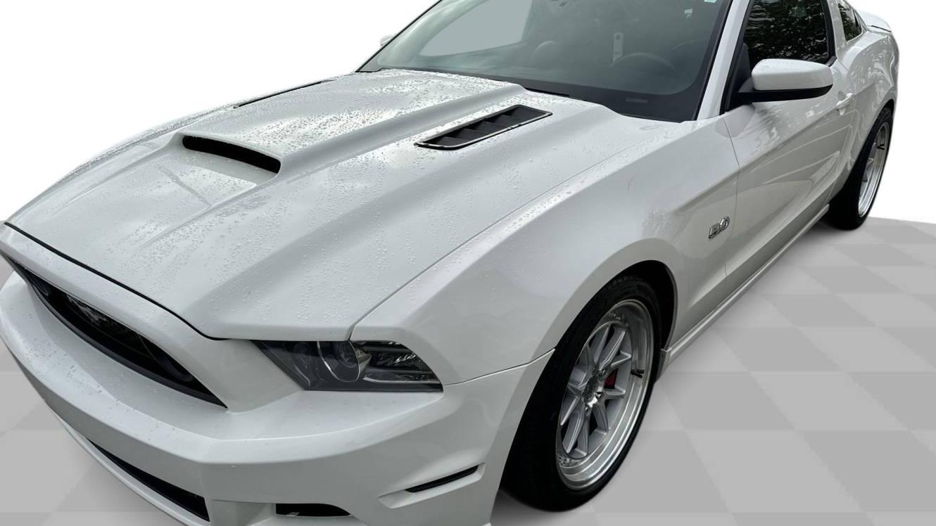 FORD MUSTANG 2013 1ZVBP8CF3D5263978 image