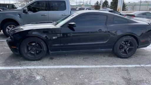 FORD MUSTANG 2010 1ZVBP8CHXA5105067 image