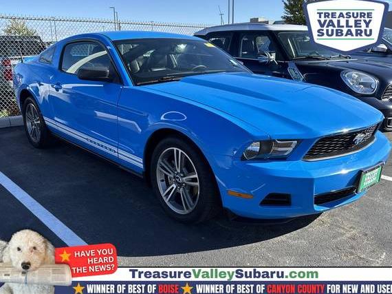 FORD MUSTANG 2010 1ZVBP8ANXA5128468 image