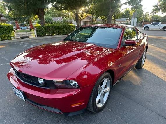 FORD MUSTANG 2010 1ZVBP8CH8A5105150 image