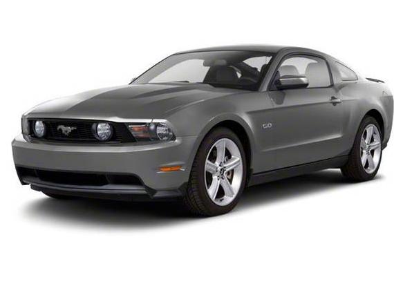 FORD MUSTANG 2010 1ZVBP8AN1A5164713 image