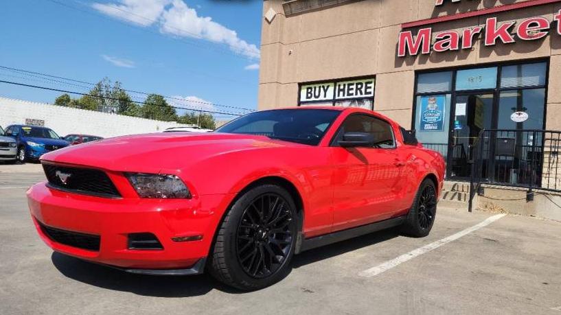 FORD MUSTANG 2010 1ZVBP8AN3A5119059 image
