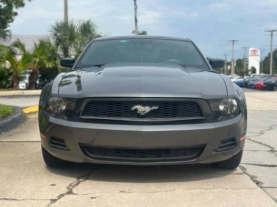 FORD MUSTANG 2010 1ZVBP8ANXA5100220 image
