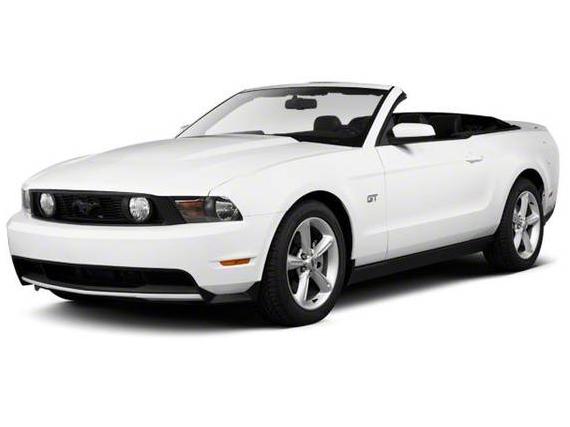 FORD MUSTANG 2010 1ZVBP8ENXA5109526 image