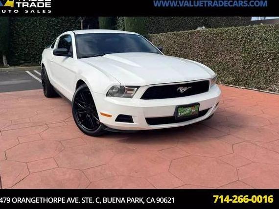 FORD MUSTANG 2010 1ZVBP8AN3A5101225 image